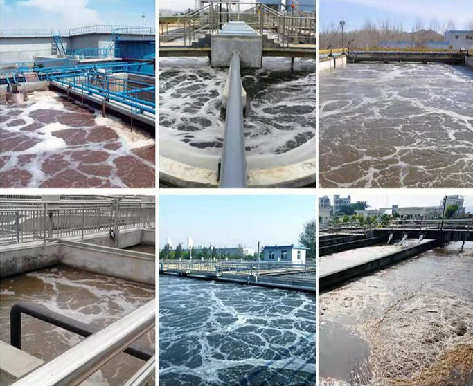 �۱�ϩ����